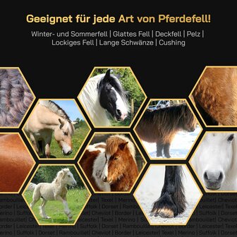 KNEIZER Tosatrice per cavalli, set completo con accessori &ndash; con lame intercambiabili &ndash; silenziosa e a bassa vibrazione